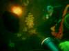 Photo Number 14